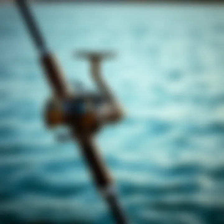Dam Neo spinning reel attached to a fishing rod set against a serene water backdrop for freshwater fishing