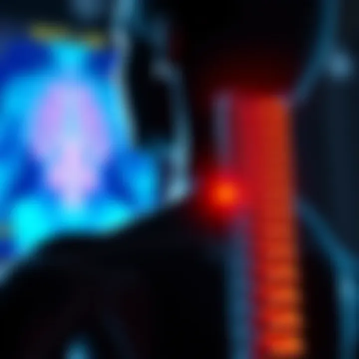 Diagram showing the anatomy of the spine with emphasis on areas affected by Neospine condition